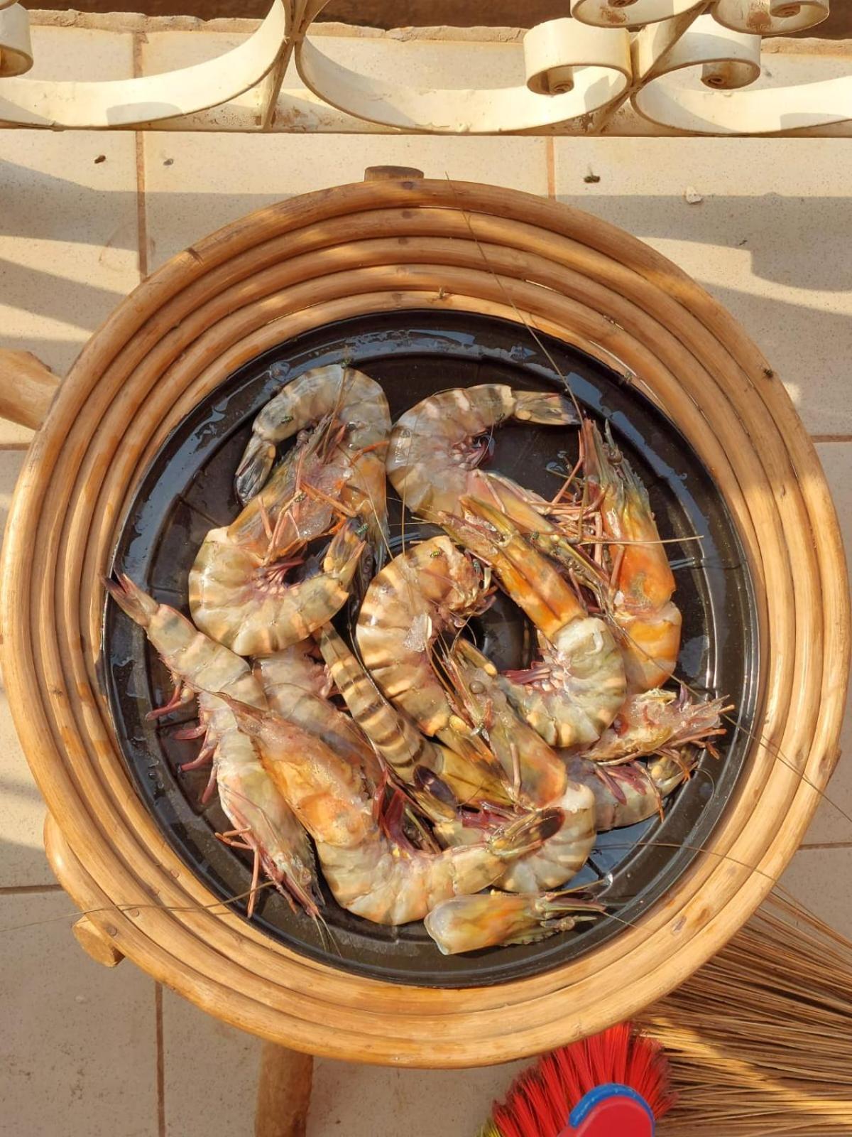 Residence Callens كريبي المظهر الخارجي الصورة